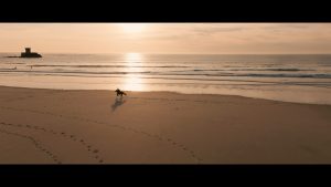 LaTeatru 47 Green Eye Productions impresionează cu scurtmetrajul The Journey – o lecție cinematografică despre curaj și renaștere